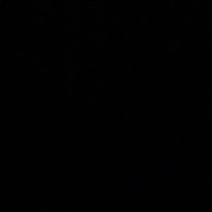 Meet your Posher, Jasmin